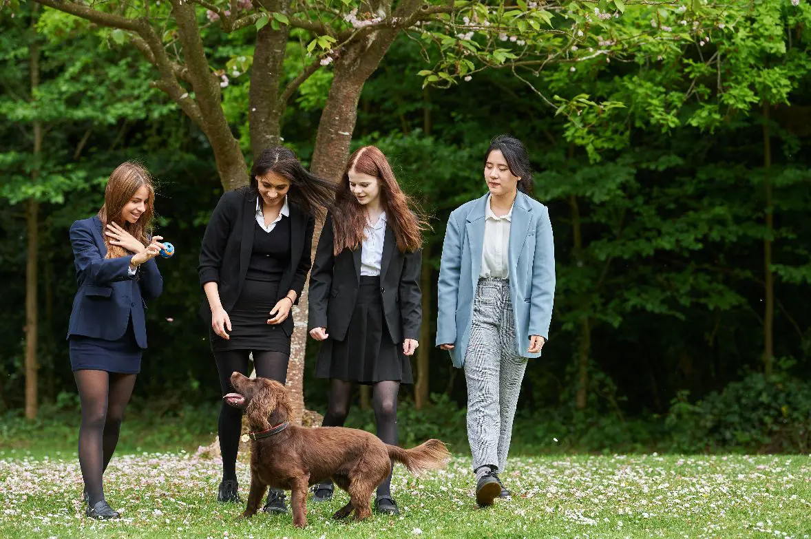 Students walking dog