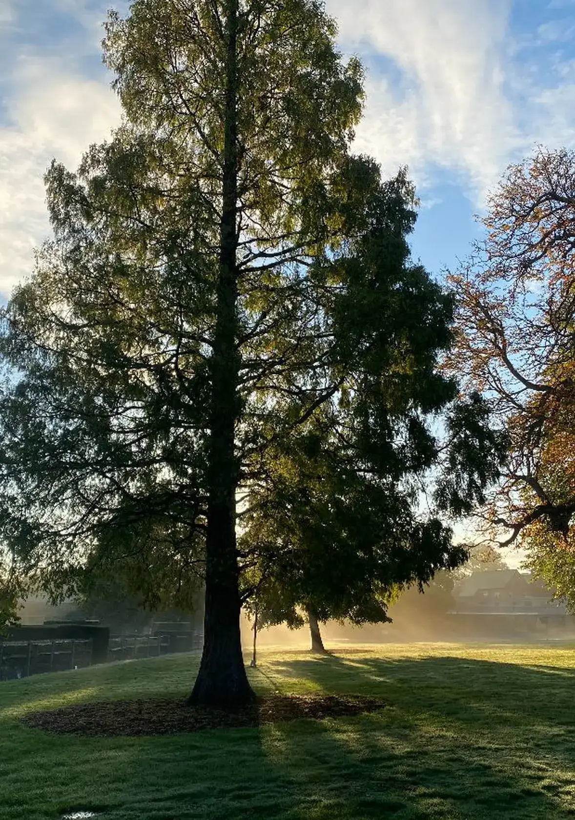 Outdoors with trees